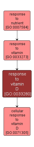 GO:0033280 - response to vitamin D (interactive image map)