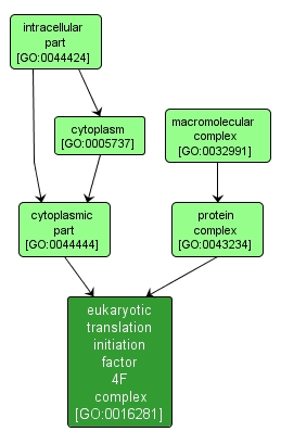 GO:0016281 - eukaryotic translation initiation factor 4F complex (interactive image map)