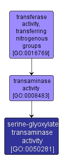 GO:0050281 - serine-glyoxylate transaminase activity (interactive image map)