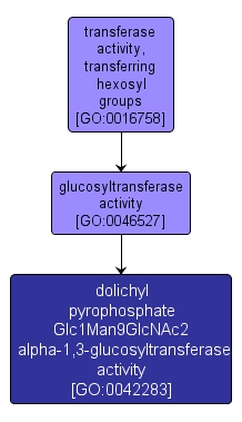 GO:0042283 - dolichyl pyrophosphate Glc1Man9GlcNAc2 alpha-1,3-glucosyltransferase activity (interactive image map)
