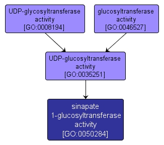 GO:0050284 - sinapate 1-glucosyltransferase activity (interactive image map)