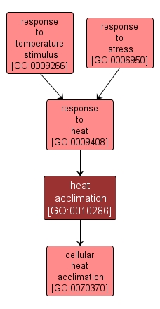 GO:0010286 - heat acclimation (interactive image map)