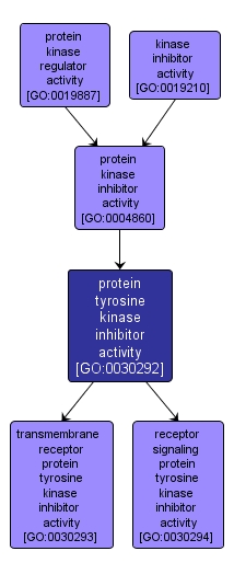 GO:0030292 - protein tyrosine kinase inhibitor activity (interactive image map)