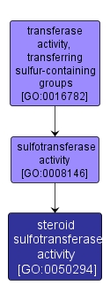 GO:0050294 - steroid sulfotransferase activity (interactive image map)