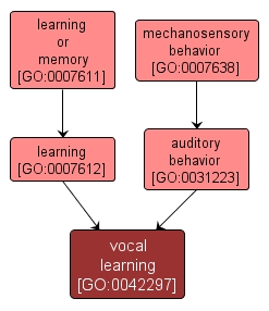 GO:0042297 - vocal learning (interactive image map)