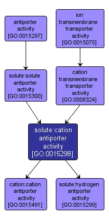 GO:0015298 - solute:cation antiporter activity (interactive image map)