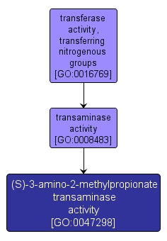 GO:0047298 - (S)-3-amino-2-methylpropionate transaminase activity (interactive image map)