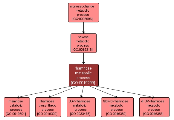 GO:0019299 - rhamnose metabolic process (interactive image map)