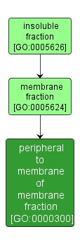 GO:0000300 - peripheral to membrane of membrane fraction (interactive image map)