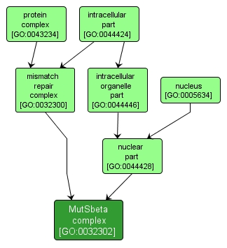 GO:0032302 - MutSbeta complex (interactive image map)