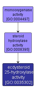 GO:0035302 - ecdysteroid 25-hydroxylase activity (interactive image map)