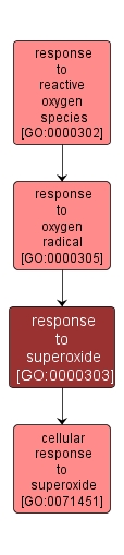 GO:0000303 - response to superoxide (interactive image map)