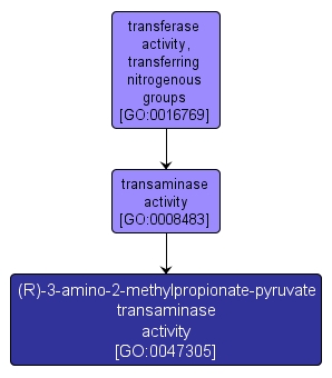 GO:0047305 - (R)-3-amino-2-methylpropionate-pyruvate transaminase activity (interactive image map)