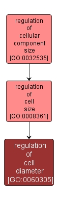 GO:0060305 - regulation of cell diameter (interactive image map)