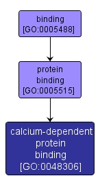 GO:0048306 - calcium-dependent protein binding (interactive image map)
