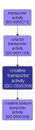 GO:0005308 - creatine transporter activity (interactive image map)