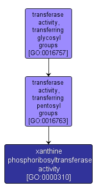 GO:0000310 - xanthine phosphoribosyltransferase activity (interactive image map)