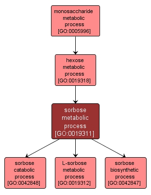 GO:0019311 - sorbose metabolic process (interactive image map)
