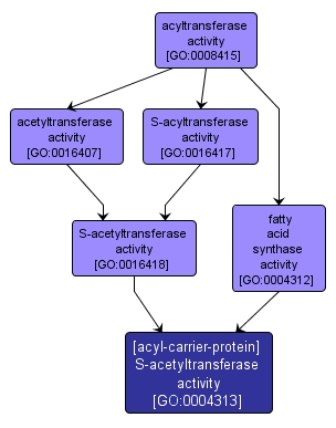 GO:0004313 - [acyl-carrier-protein] S-acetyltransferase activity (interactive image map)