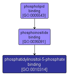 GO:0010314 - phosphatidylinositol-5-phosphate binding (interactive image map)