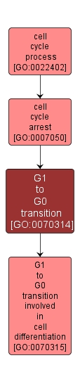 GO:0070314 - G1 to G0 transition (interactive image map)