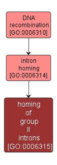 GO:0006315 - homing of group II introns (interactive image map)