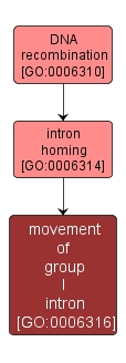GO:0006316 - movement of group I intron (interactive image map)