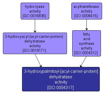 GO:0004317 - 3-hydroxypalmitoyl-[acyl-carrier-protein] dehydratase activity (interactive image map)