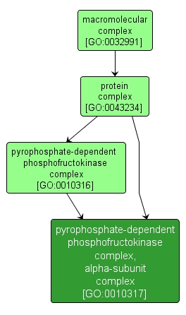 GO:0010317 - pyrophosphate-dependent phosphofructokinase complex, alpha-subunit complex (interactive image map)
