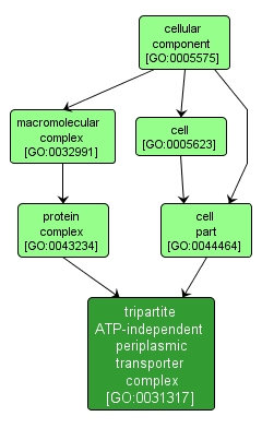 GO:0031317 - tripartite ATP-independent periplasmic transporter complex (interactive image map)