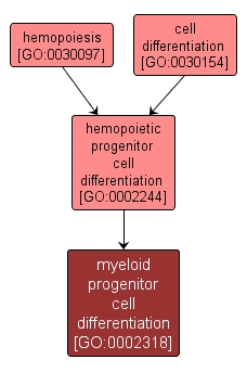 GO:0002318 - myeloid progenitor cell differentiation (interactive image map)