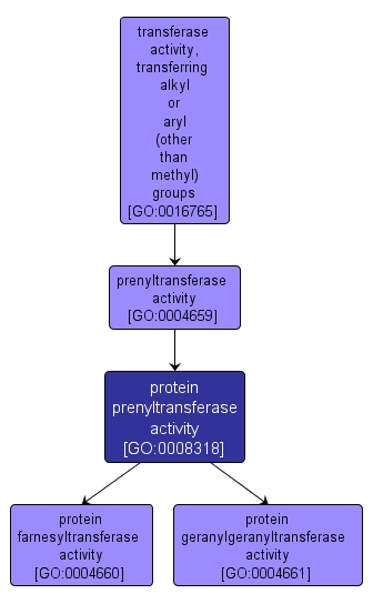 GO:0008318 - protein prenyltransferase activity (interactive image map)