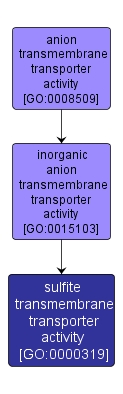 GO:0000319 - sulfite transmembrane transporter activity (interactive image map)
