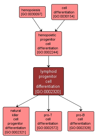 GO:0002320 - lymphoid progenitor cell differentiation (interactive image map)