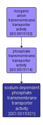 GO:0015321 - sodium-dependent phosphate transmembrane transporter activity (interactive image map)