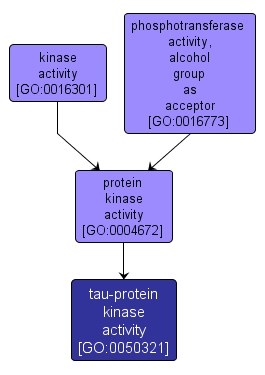 GO:0050321 - tau-protein kinase activity (interactive image map)