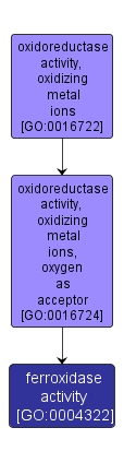 GO:0004322 - ferroxidase activity (interactive image map)