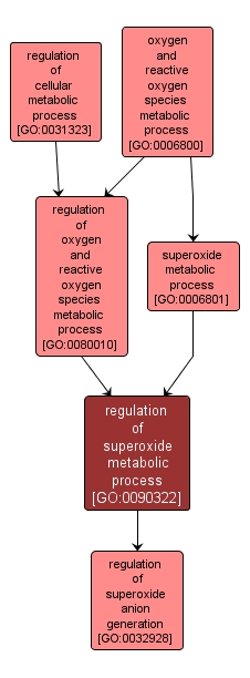 GO:0090322 - regulation of superoxide metabolic process (interactive image map)