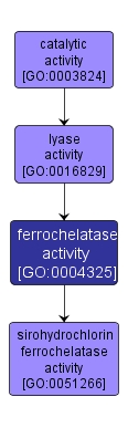 GO:0004325 - ferrochelatase activity (interactive image map)