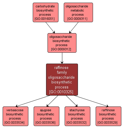 GO:0010325 - raffinose family oligosaccharide biosynthetic process (interactive image map)