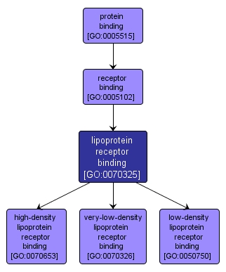 GO:0070325 - lipoprotein receptor binding (interactive image map)