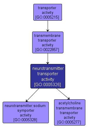 GO:0005326 - neurotransmitter transporter activity (interactive image map)