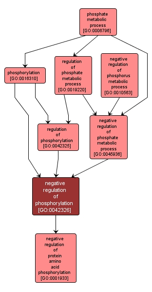 GO:0042326 - negative regulation of phosphorylation (interactive image map)