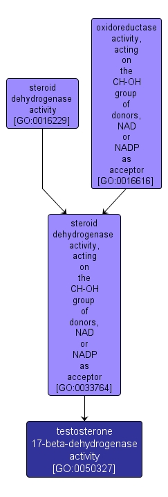 GO:0050327 - testosterone 17-beta-dehydrogenase activity (interactive image map)