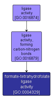 GO:0004329 - formate-tetrahydrofolate ligase activity (interactive image map)