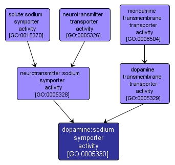 GO:0005330 - dopamine:sodium symporter activity (interactive image map)