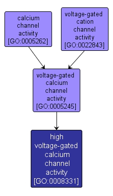 GO:0008331 - high voltage-gated calcium channel activity (interactive image map)