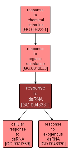 GO:0043331 - response to dsRNA (interactive image map)