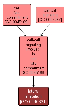 GO:0046331 - lateral inhibition (interactive image map)