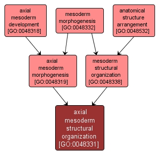 GO:0048331 - axial mesoderm structural organization (interactive image map)